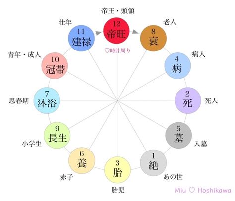 十二運 病|四柱推命の十二運とは？年柱・月柱・時柱とあわせて分かりやす。